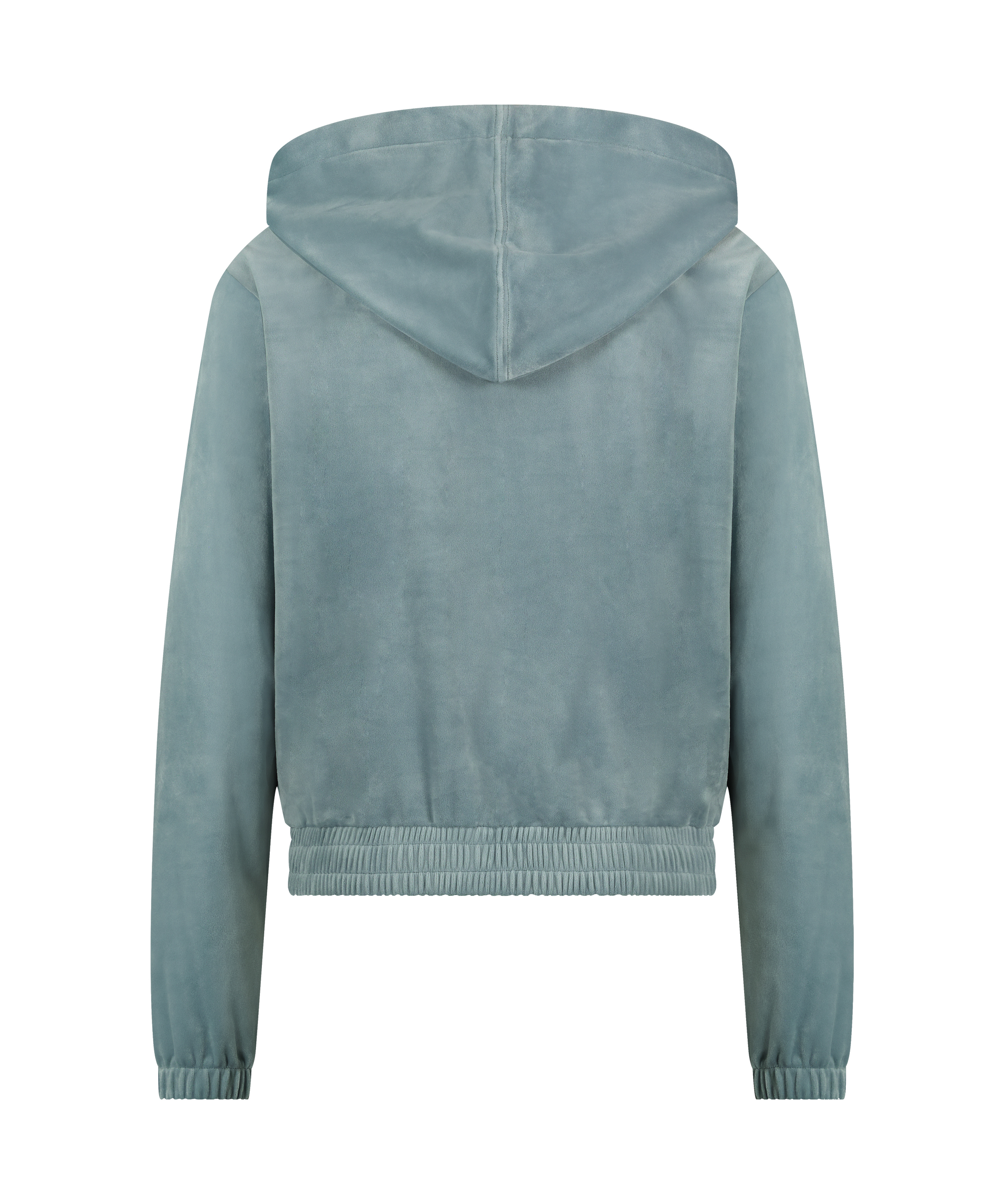 Velour hoodie jacket, Blue, main