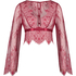 All-over Lace Top, Red