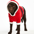 Dog's Fleece Onesie, Red