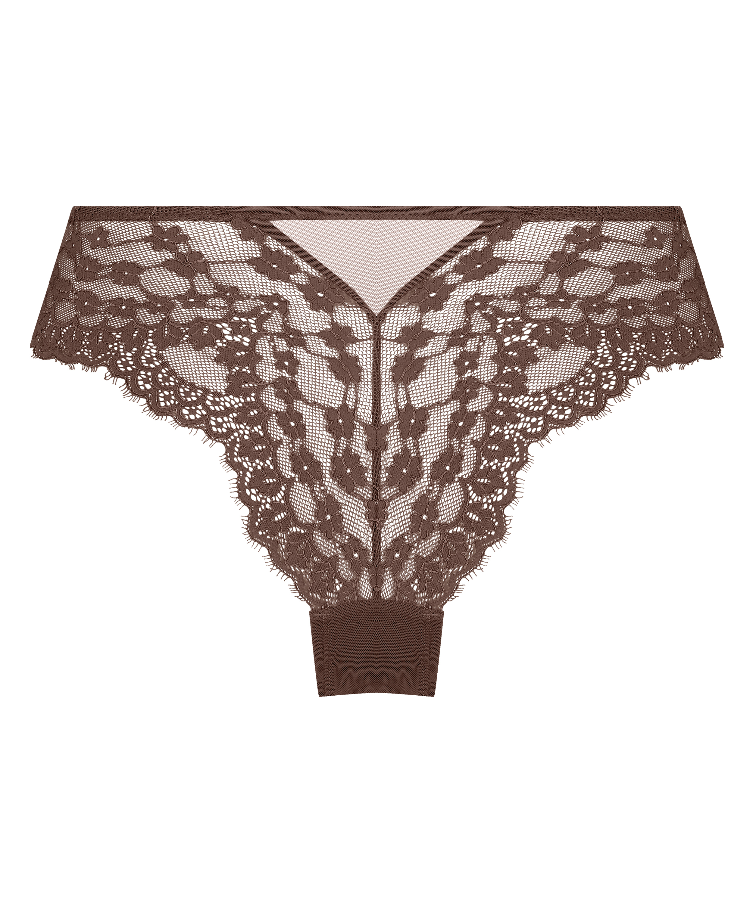 Daisy Brazilian, Brown, main