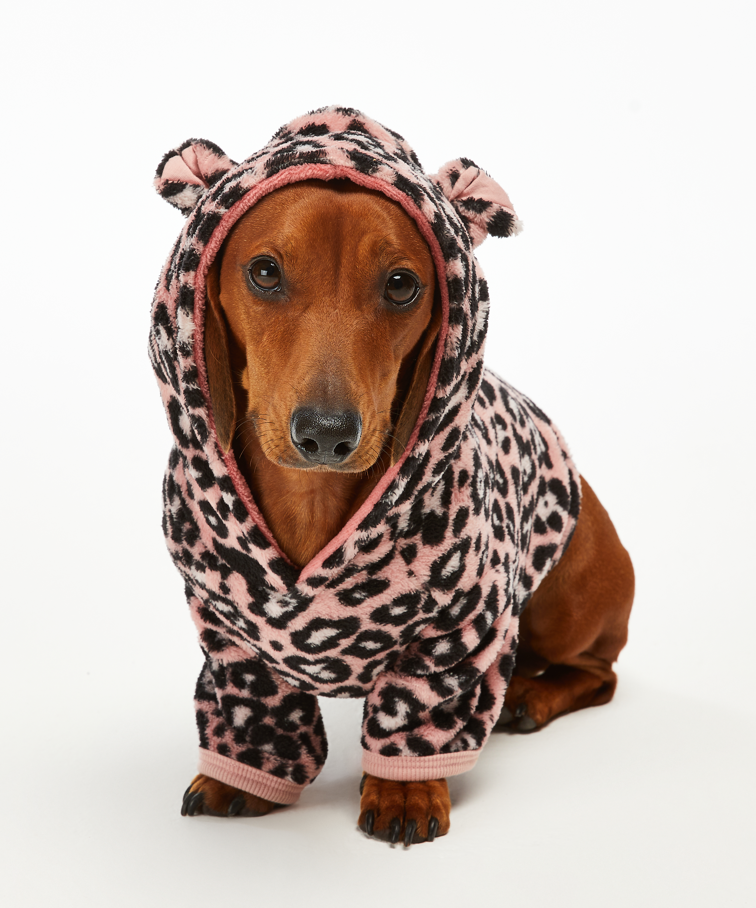 Dog's Fleece Onesie, Pink, main