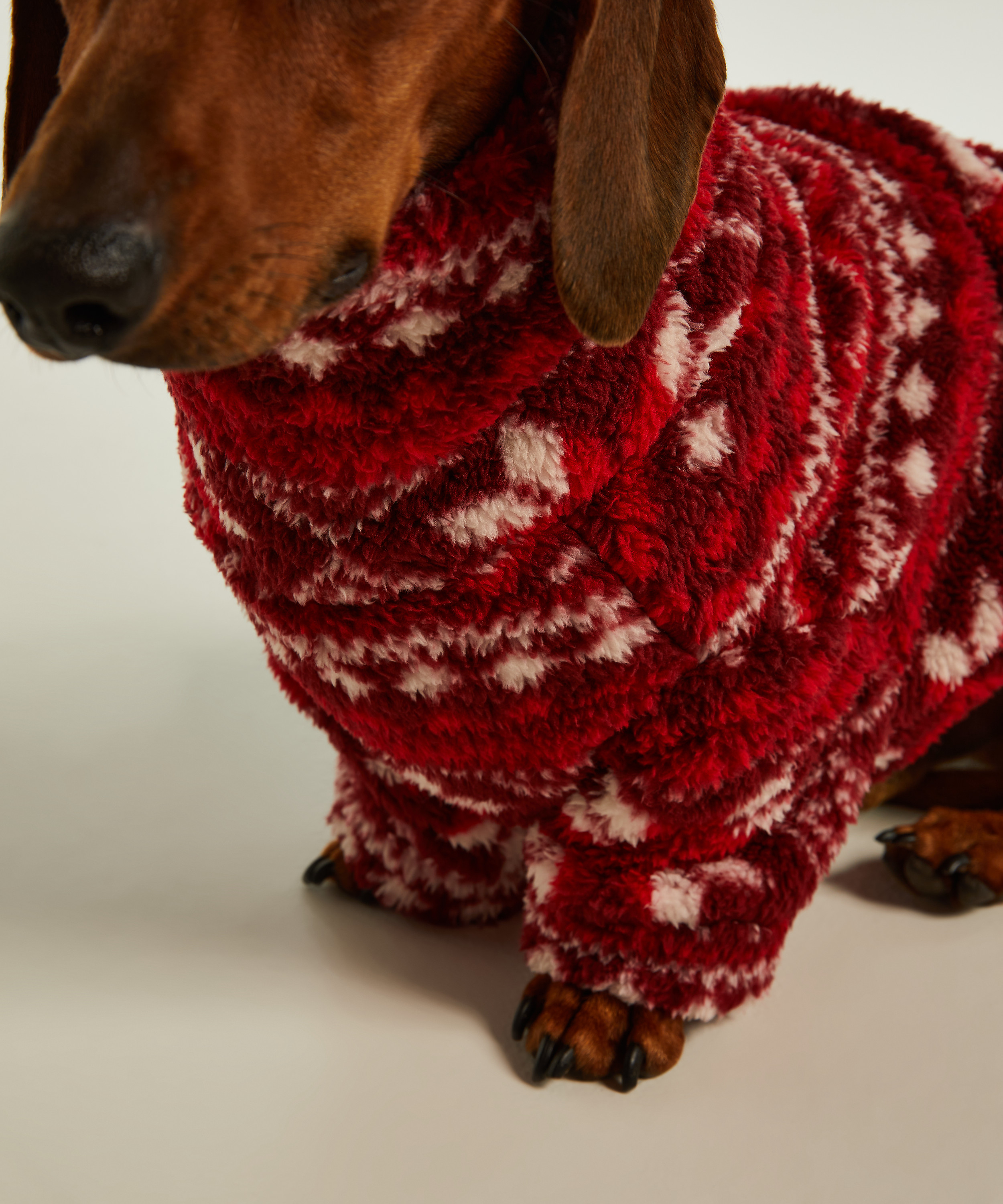 Dog Onesie, Red, main