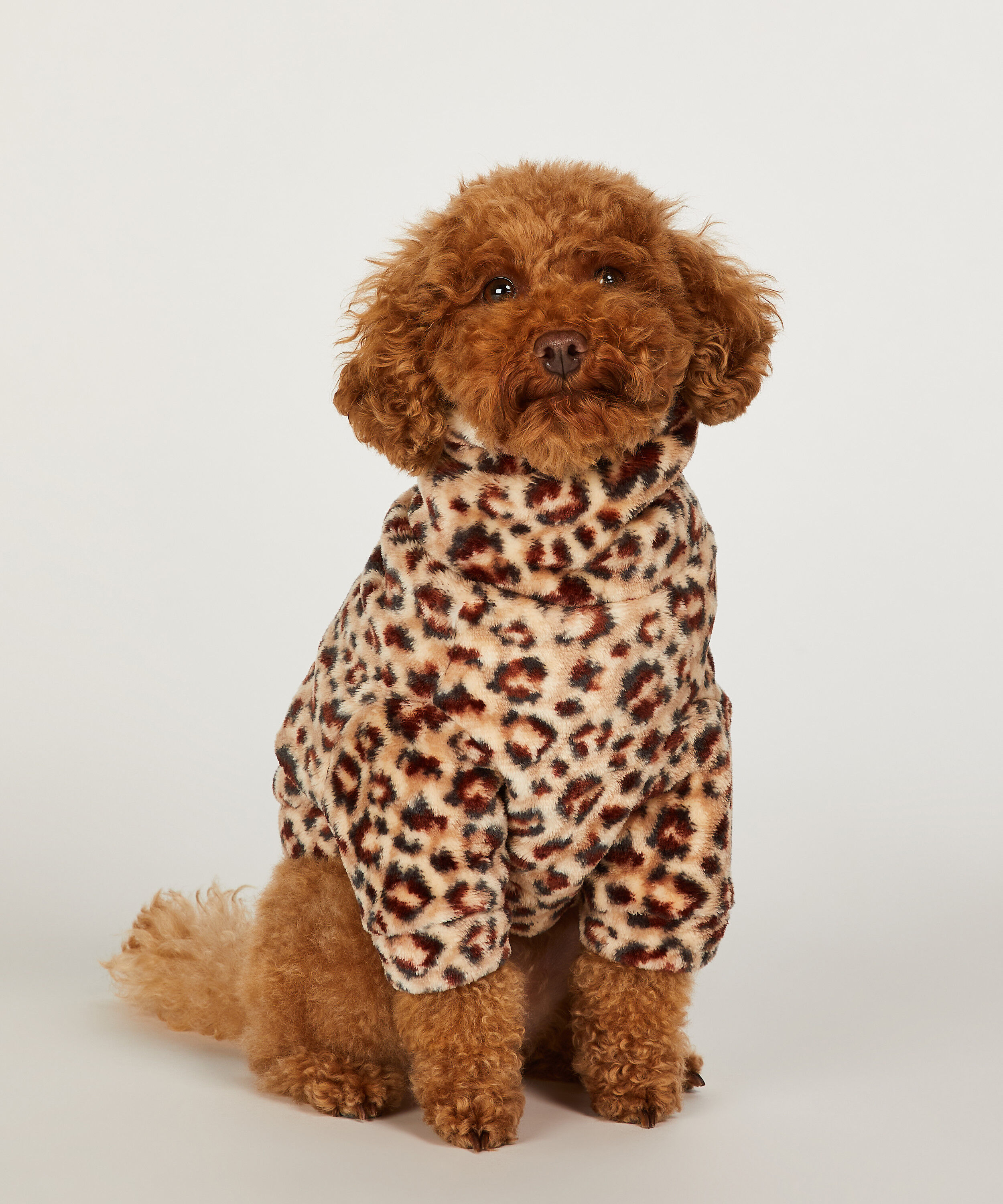 Dog Onesie, Brown