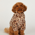 Dog Onesie, Brown
