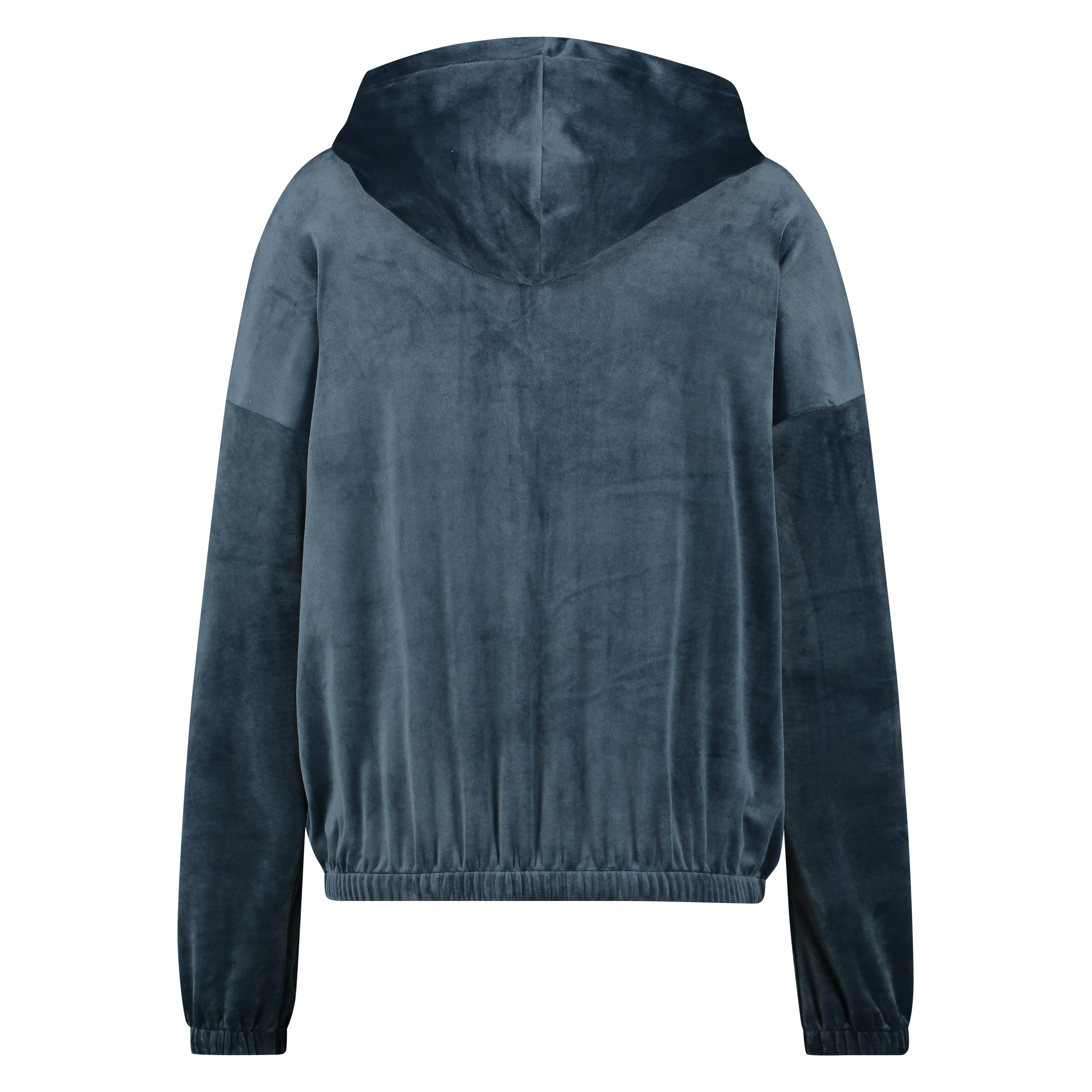 Velvet hoodie jacket, Blue, main