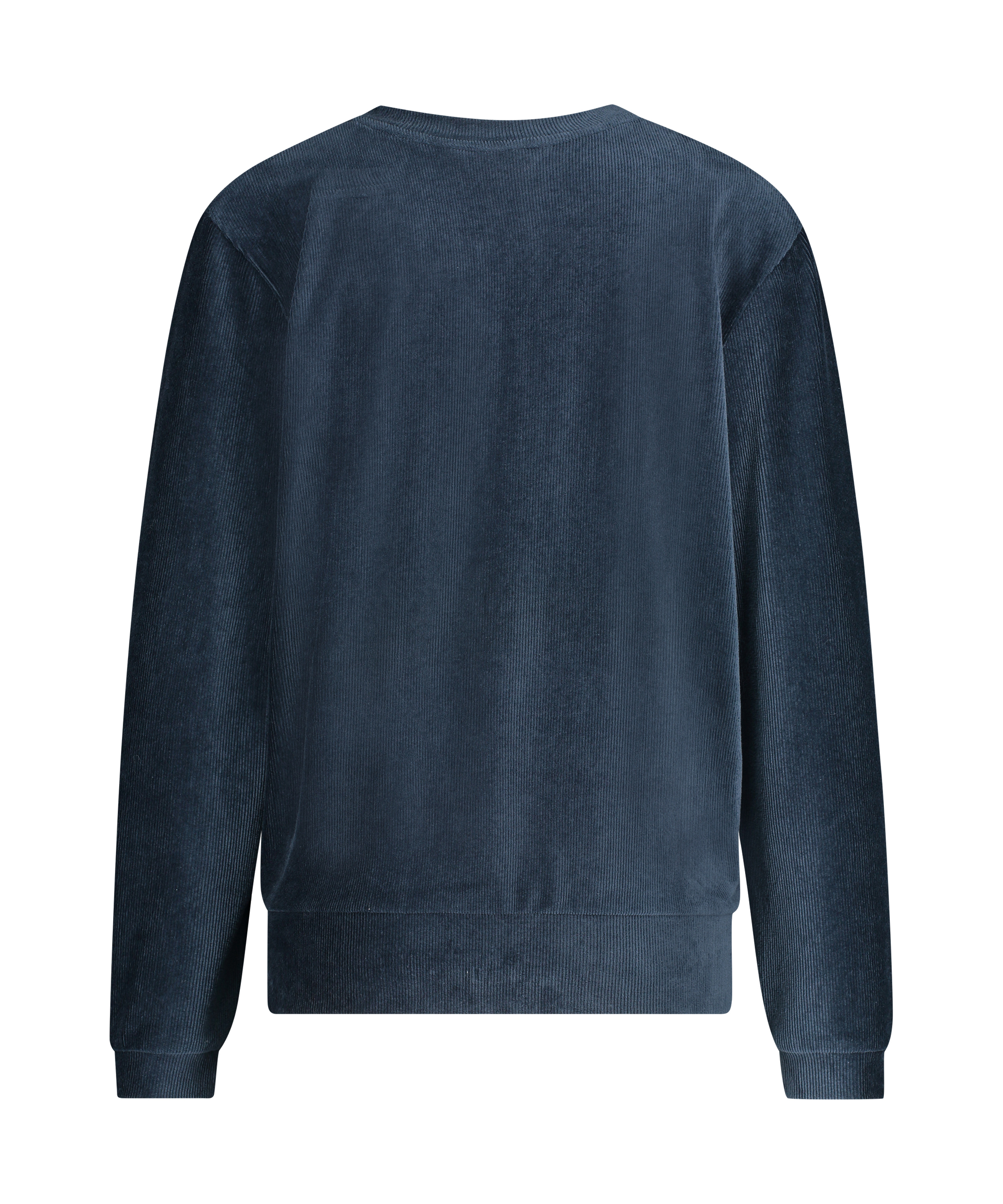 Long-sleeved velvet top, Blue, main