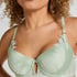 Malou Padded Underwired Bra, Green