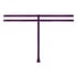 Cinnamon Thong, Purple