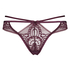 Brigitte tanga thong, Purple