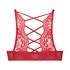 Cardi Padded Push-up Underwired Bra, Red