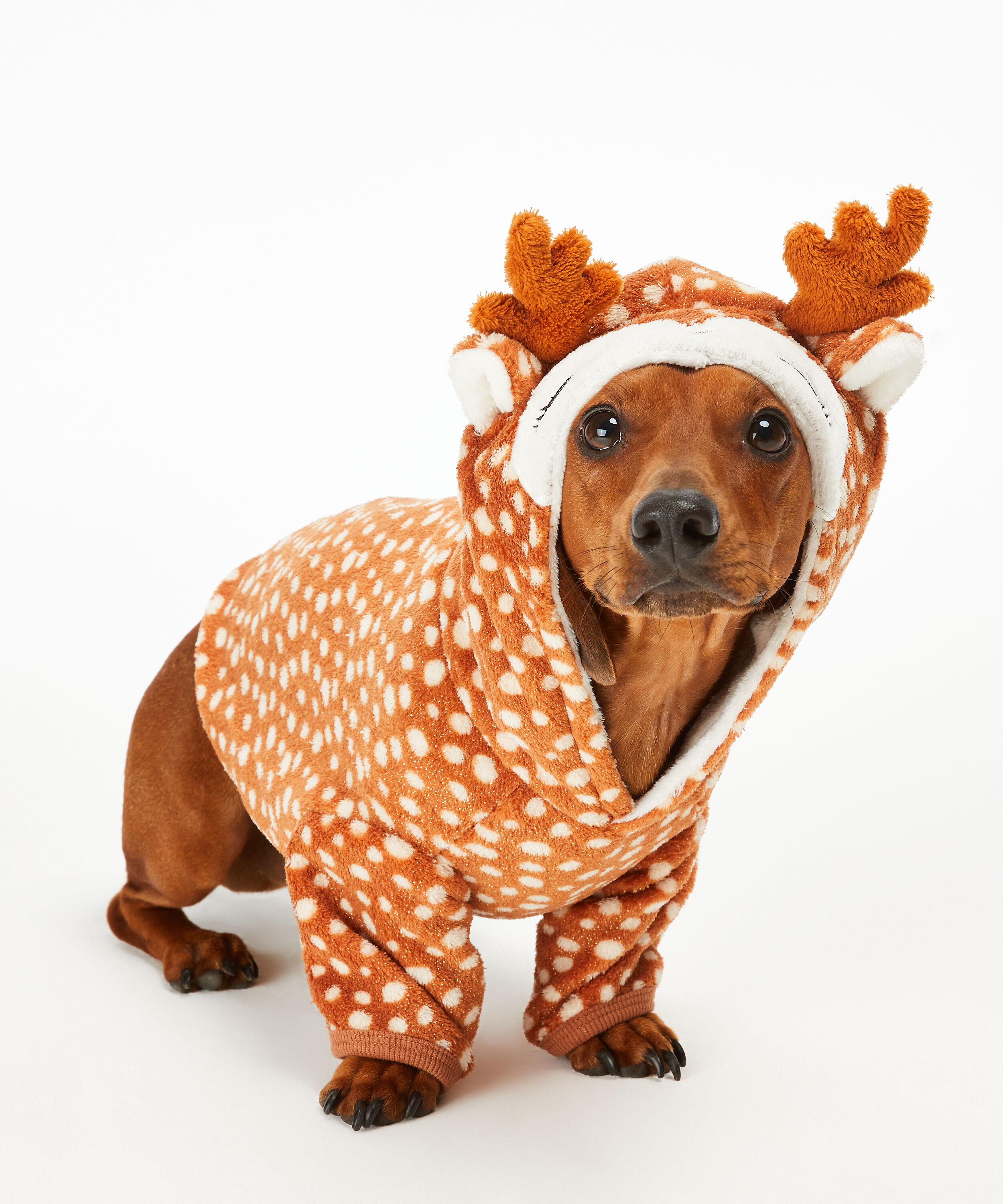 Dog's Fleece Onesie, Brown