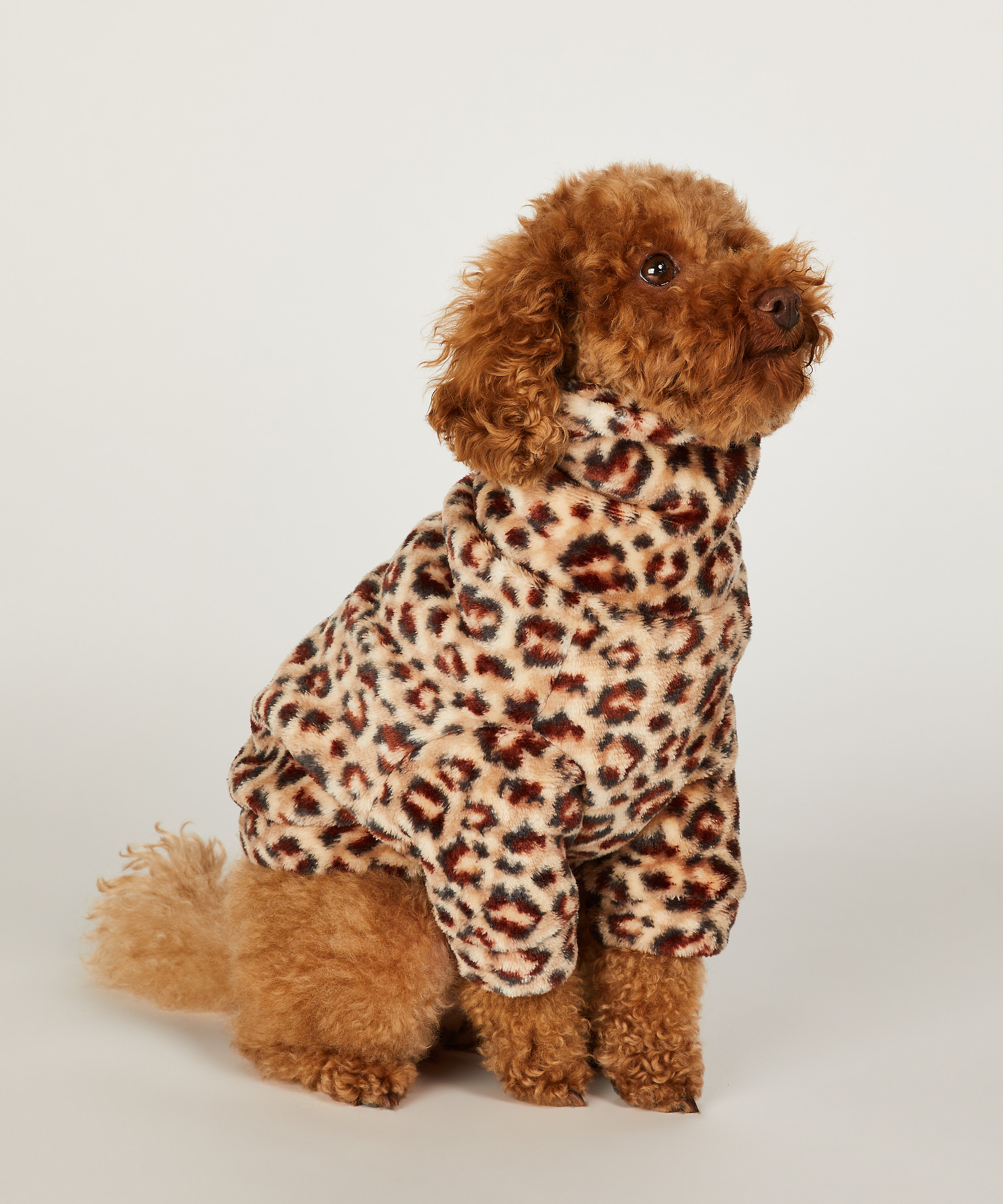 Dog Onesie, Brown, main
