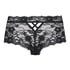 Boxer Hailee, Black