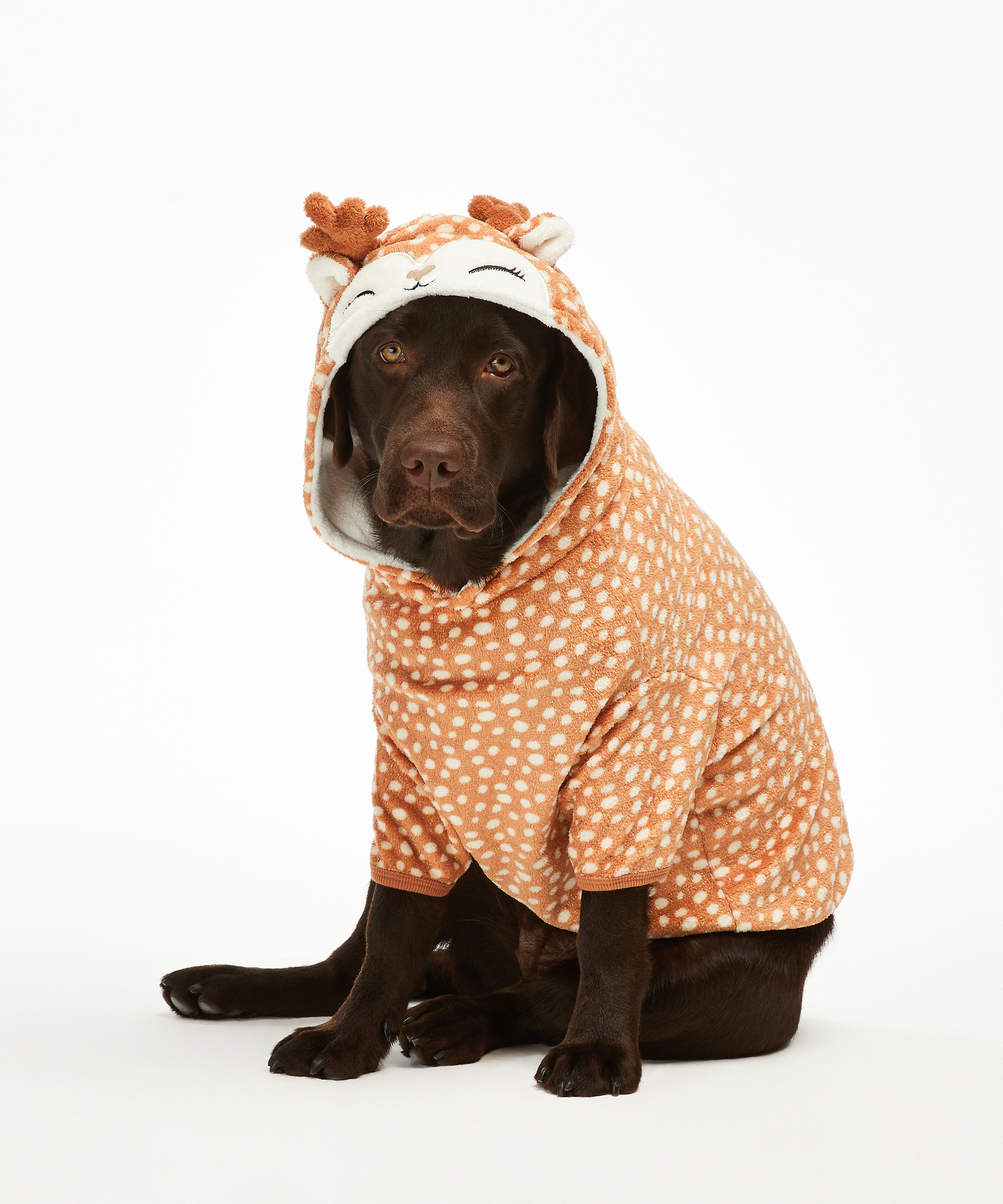 Dog's Fleece Onesie, Brown, main