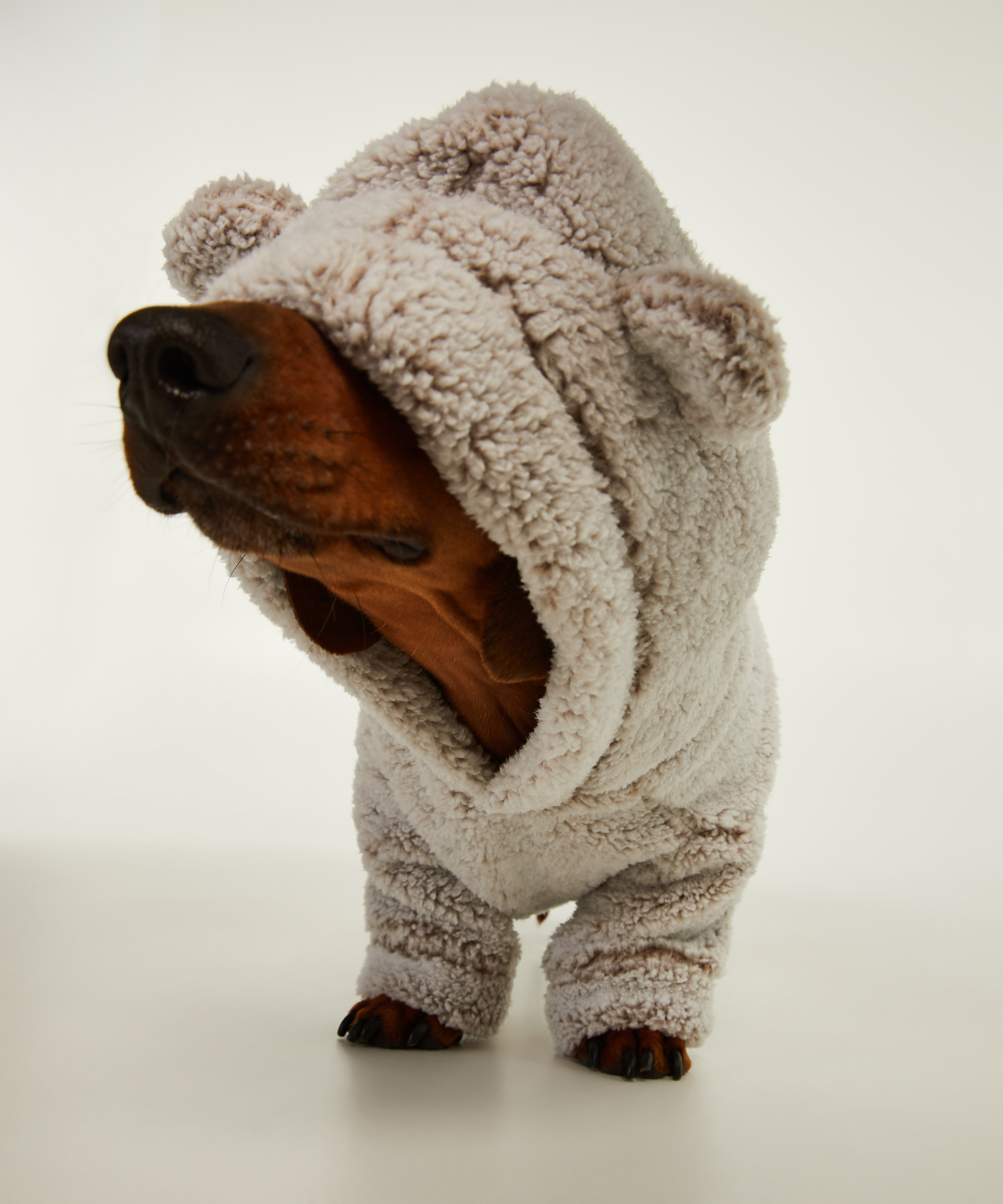 Dog's Fleece Onesie for £19 Onesies Hunkemöller