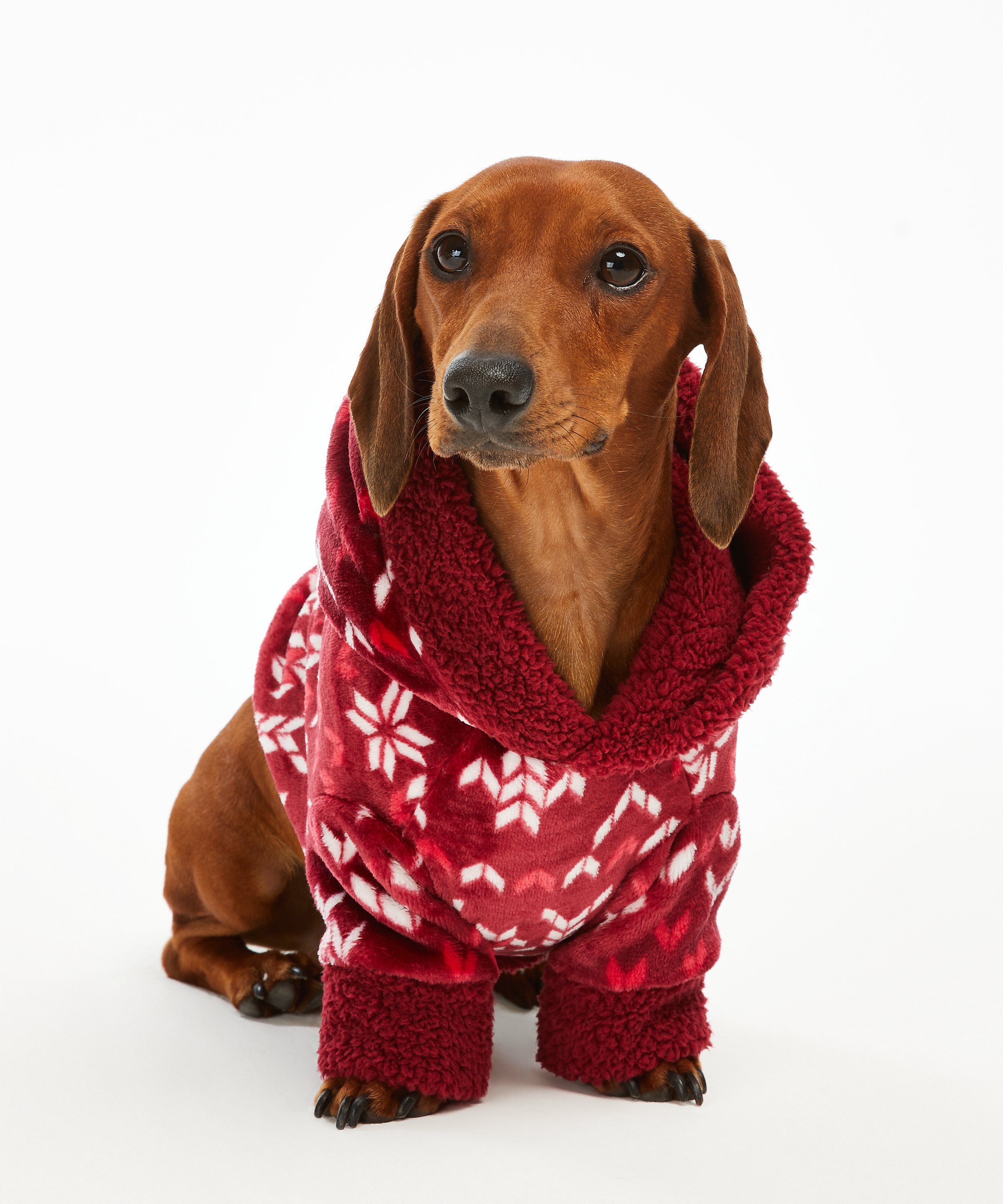 Dog's Fleece Onesie, Red, main