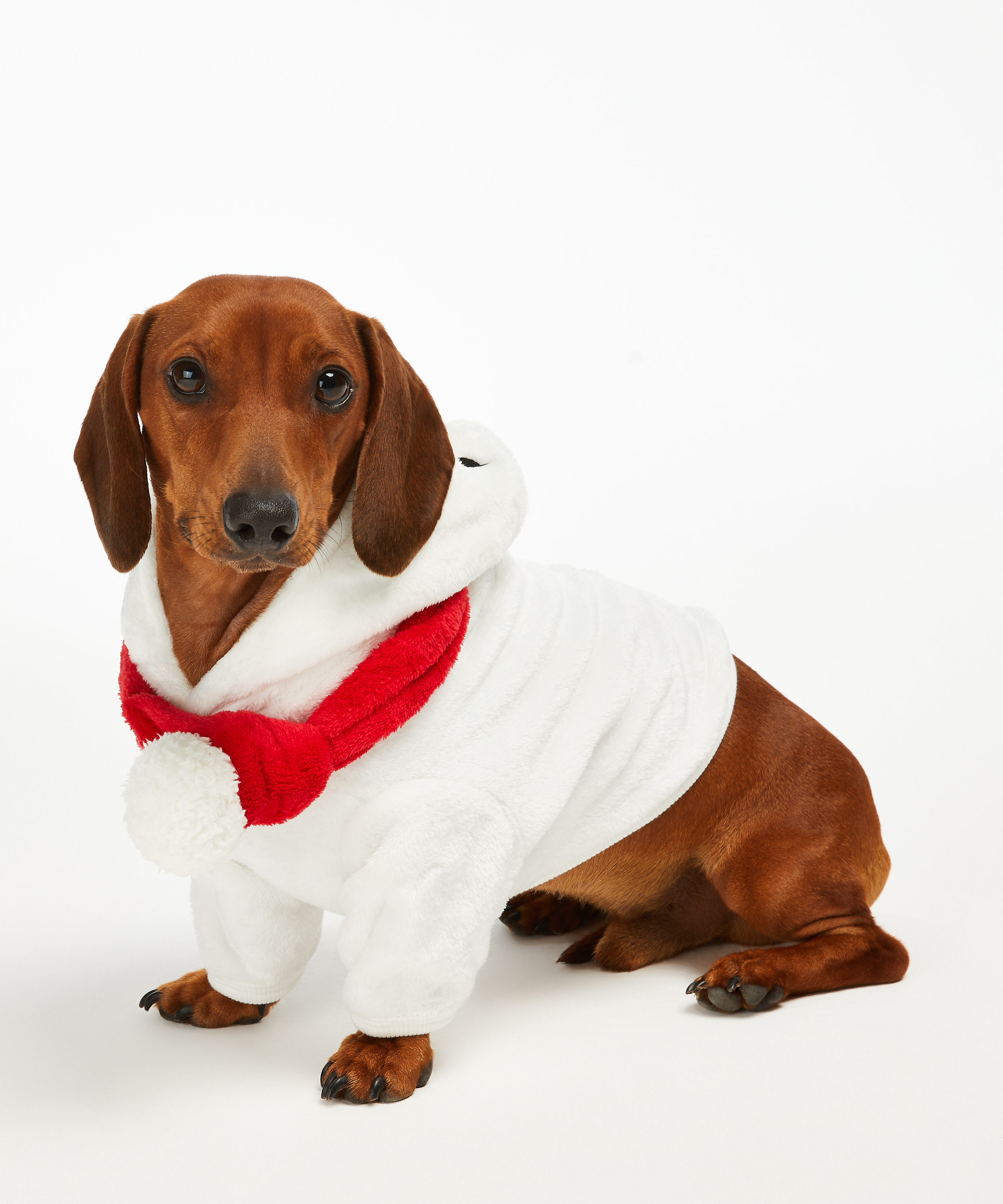 Dog's Fleece Onesie, White, main