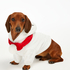 Dog's Fleece Onesie, White
