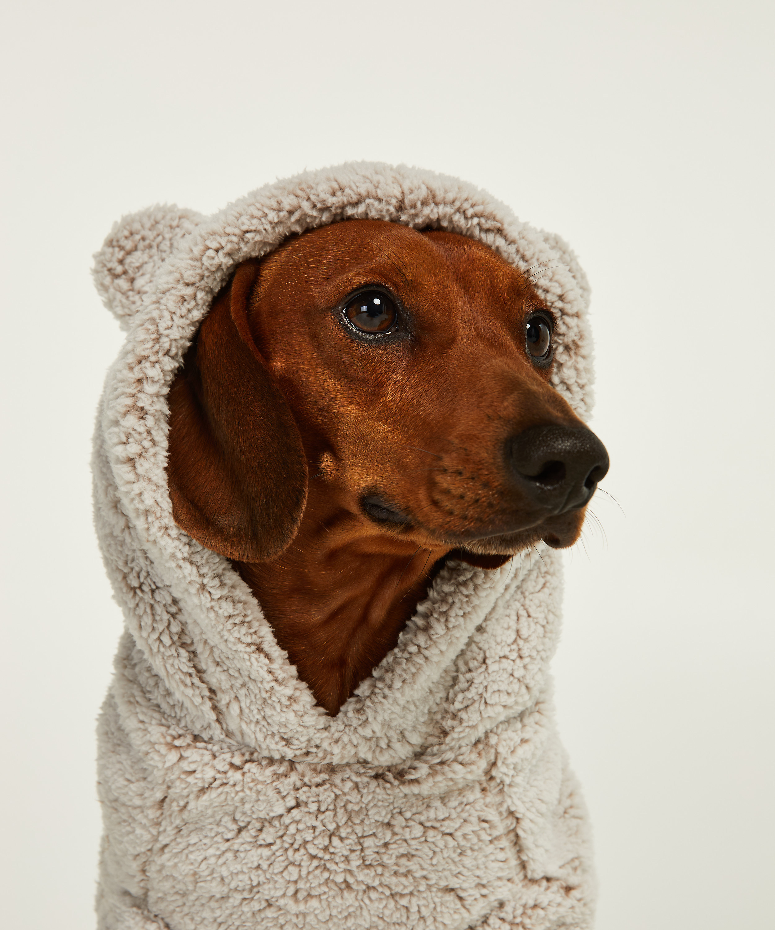 Dog's Fleece Onesie for £19 Onesies Hunkemöller