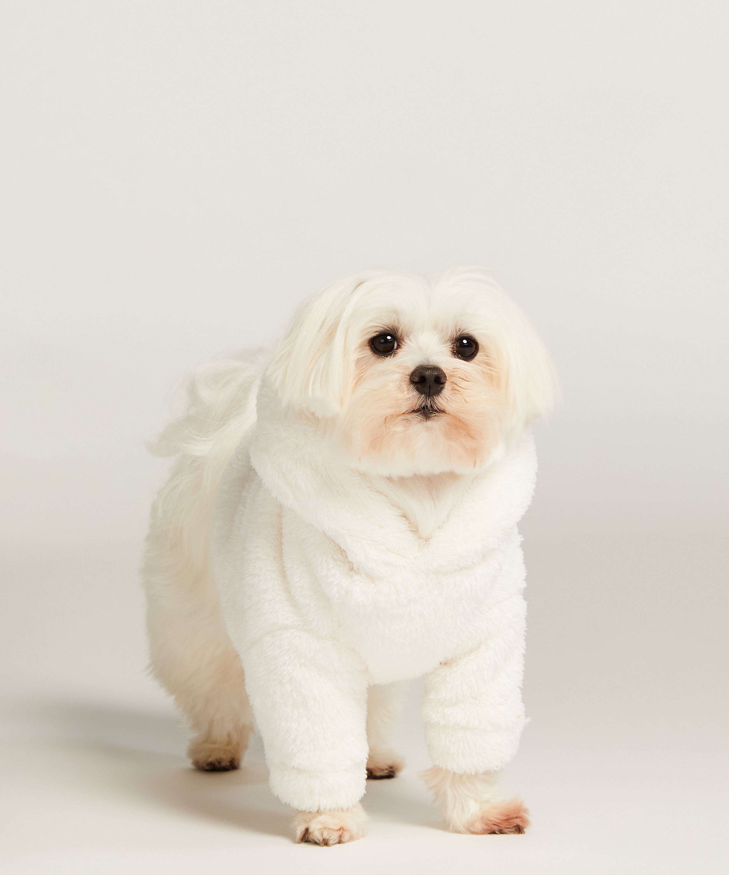 Dog Onesie, White, main