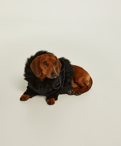 Fleece dog onesie Lucy Hale, Black