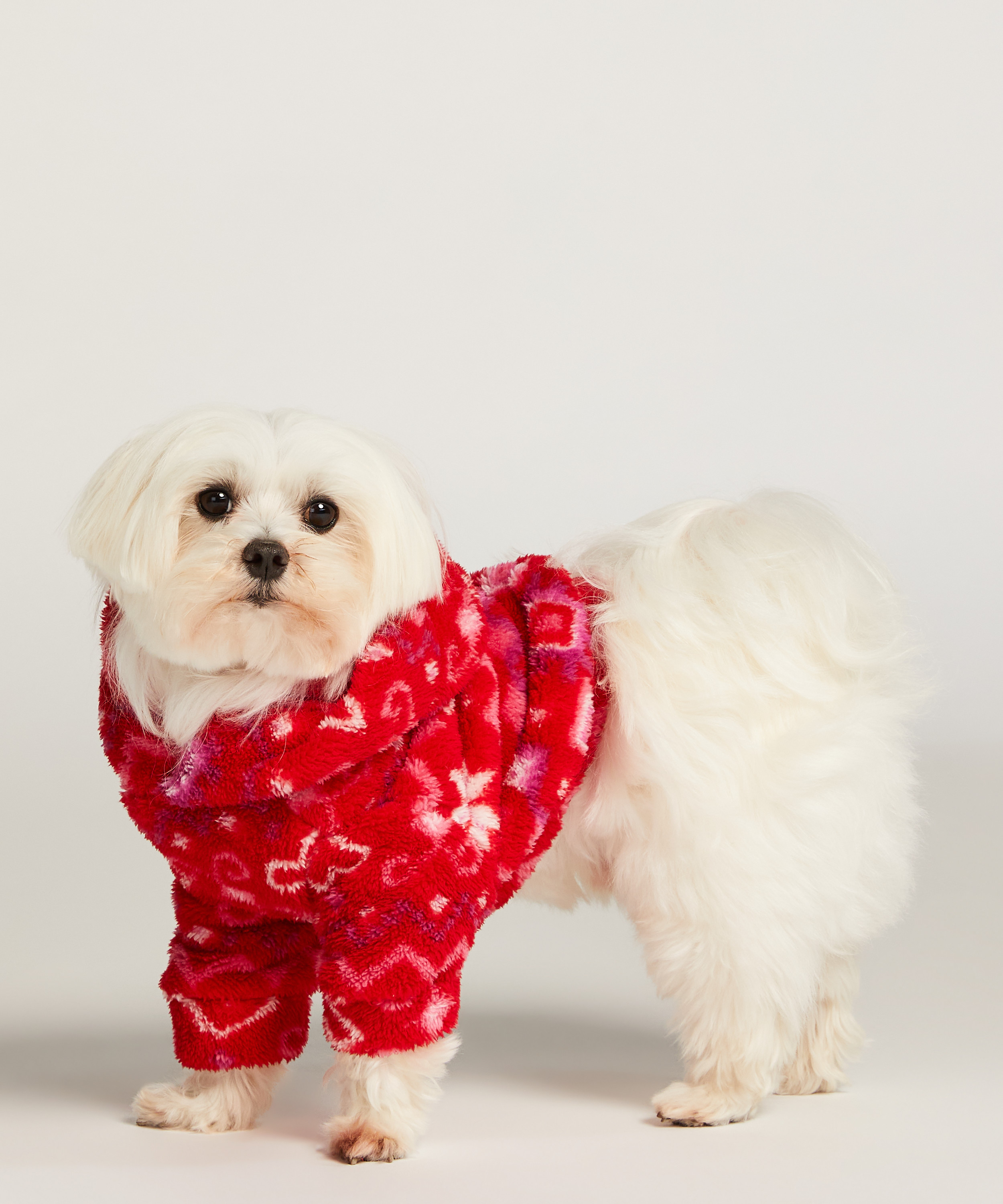 Dog Onesie, Red, main
