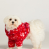 Dog Onesie, Red