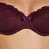 Secret Lace Padded Underwired Bra, Red