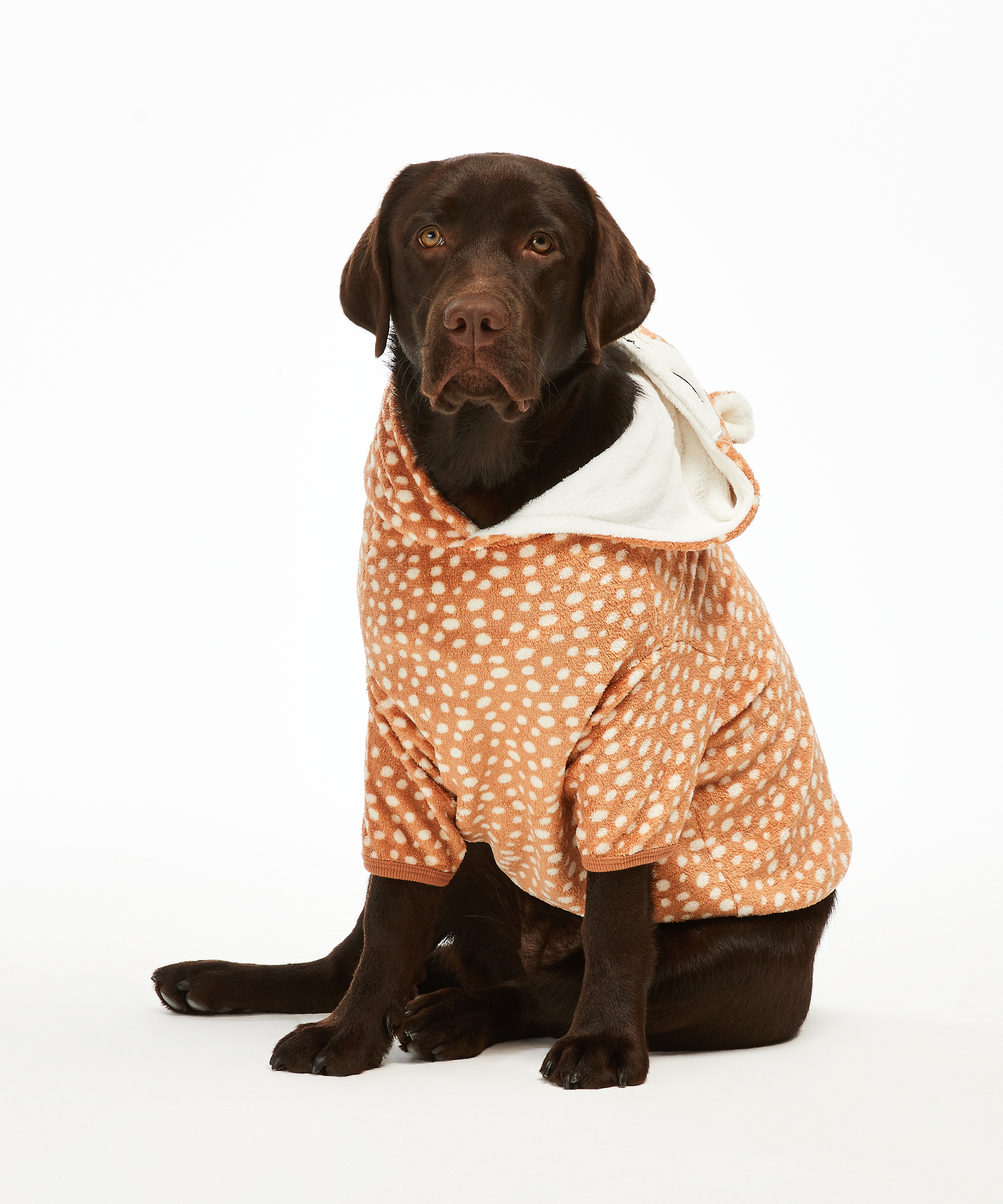 Dog's Fleece Onesie, Brown, main
