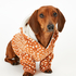 Dog's Fleece Onesie, Brown