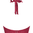 Kai Padded Underwired Bikini top Cup E +, Red