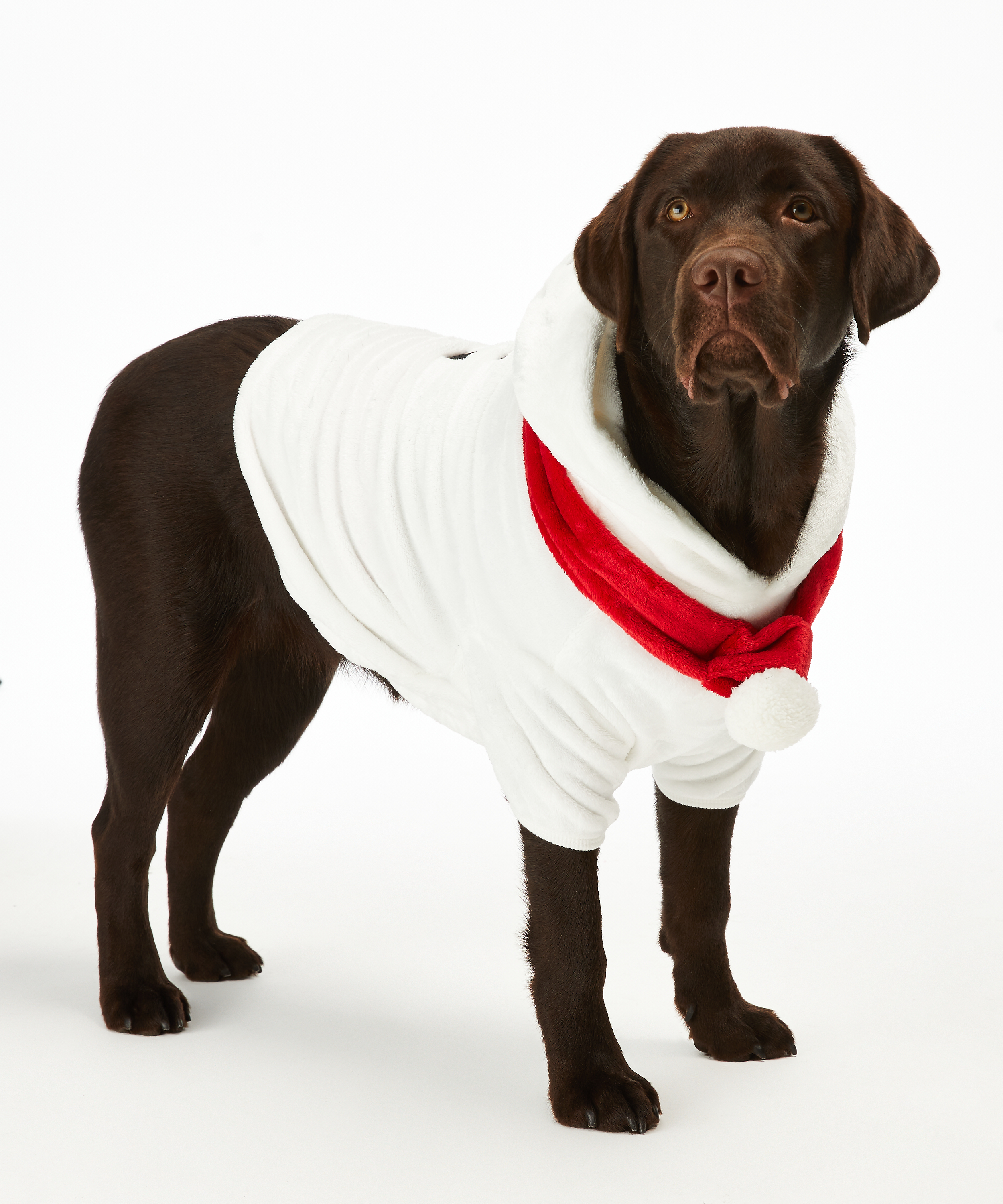 Dog's Fleece Onesie, White, main
