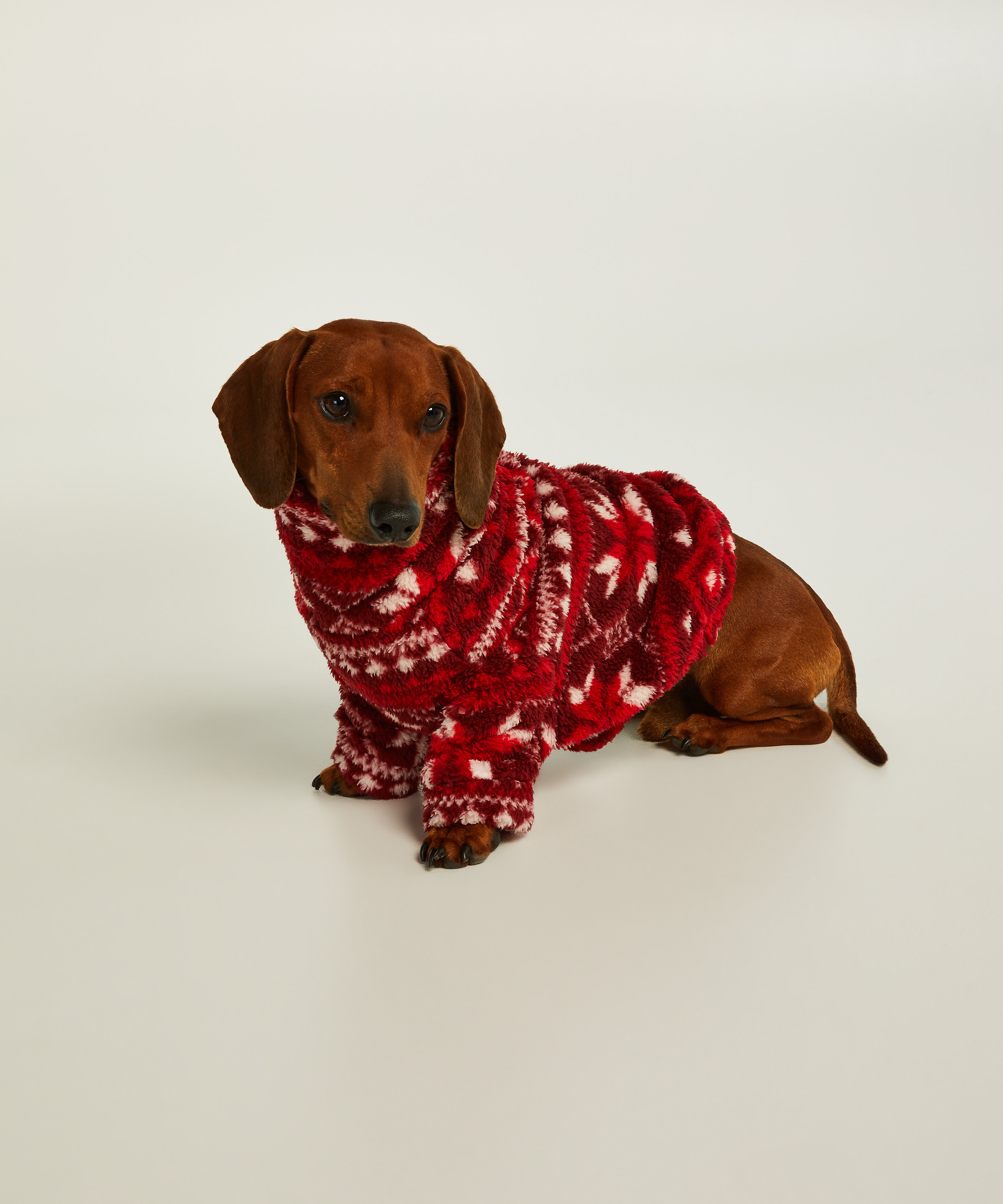 Dog Onesie for £19 Onesies Hunkemöller